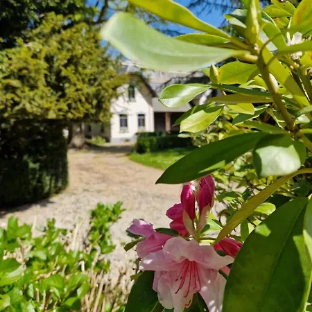 Conciergerie Du Chateau Red Daisies Et Son Parc Holiday home Hannut